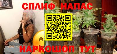 ECSTASY Будённовск