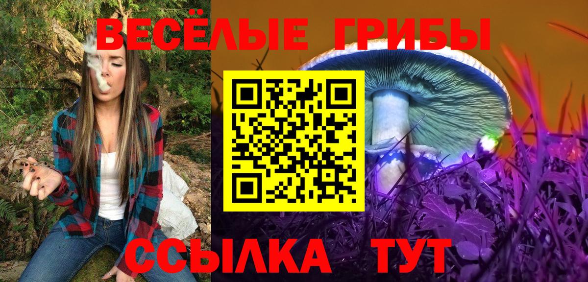 Галлюциногенные грибы MAGIC MUSHROOMS  Вход с VPN  наркота  Назрань  Псилоцибиновые грибы MAGIC MUSHROOMS 